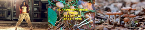 apvp Белоозёрский