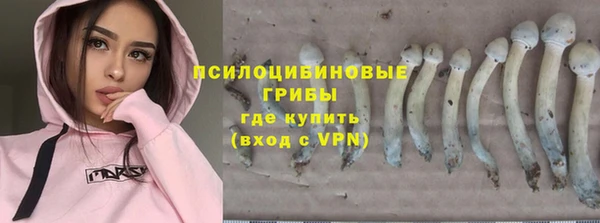 apvp Белоозёрский