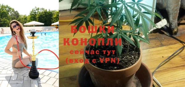 mix Белокуриха