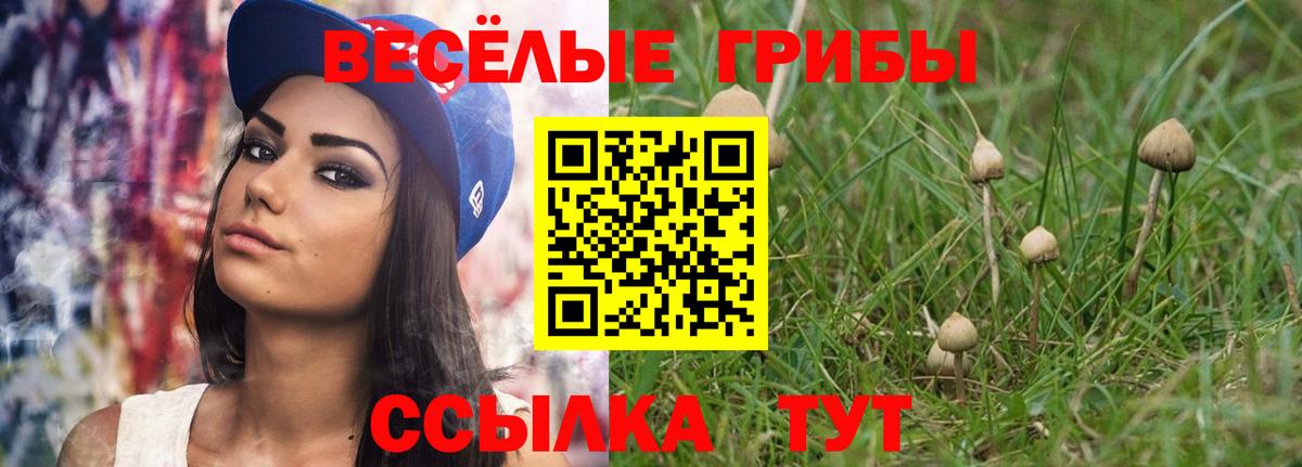 Псилоцибиновые грибы GOLDEN TEACHER  Псилоцибиновые грибы прущие грибы  Луховицы  Вход с VPN 
